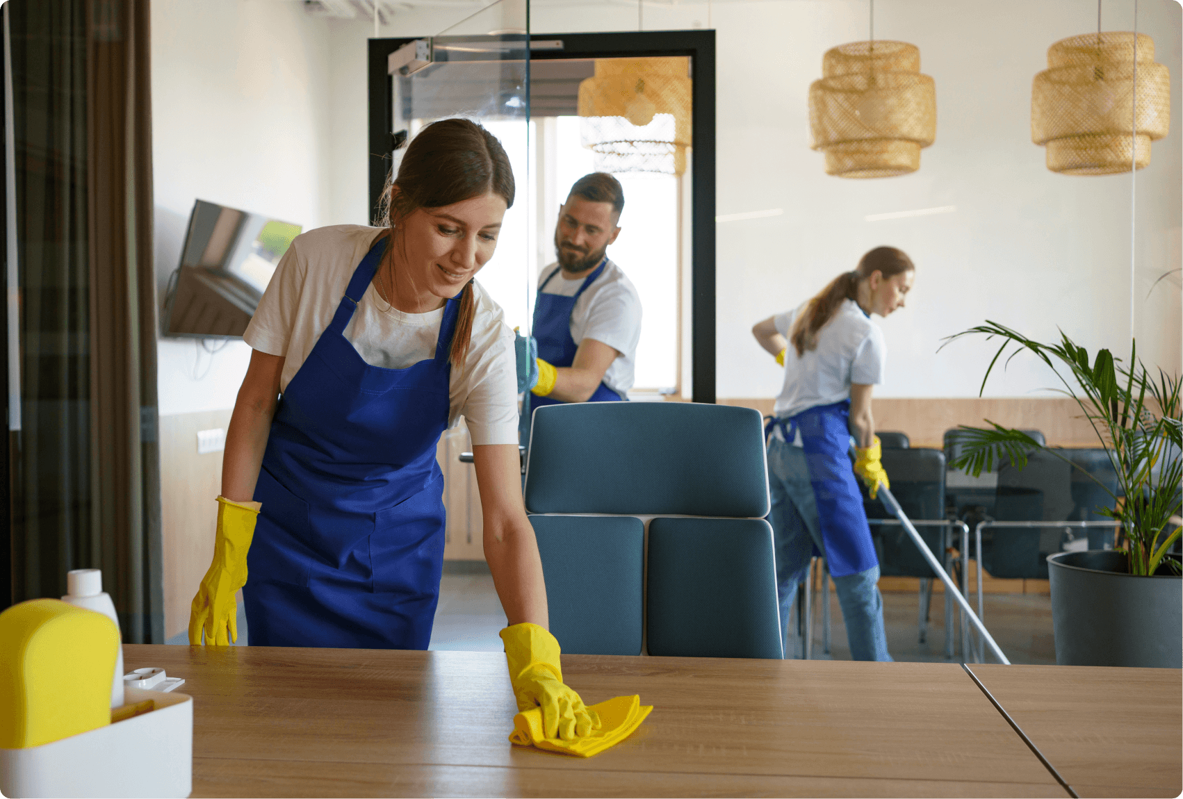 Professional cleaner at work